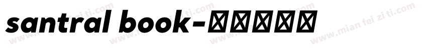 santral book字体转换
